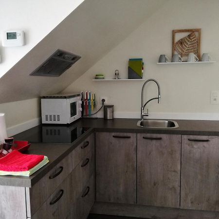 Vakantieverblijf Volmolen B&B Maaseik Zewnętrze zdjęcie